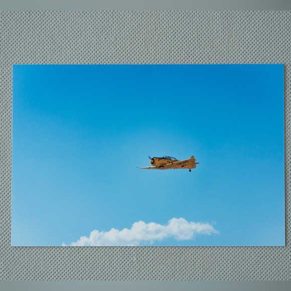 Yellow T-6 - Picture 3 of 6